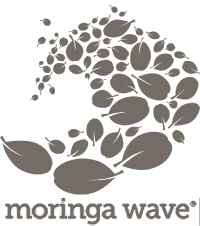 Moringa-waves-grey